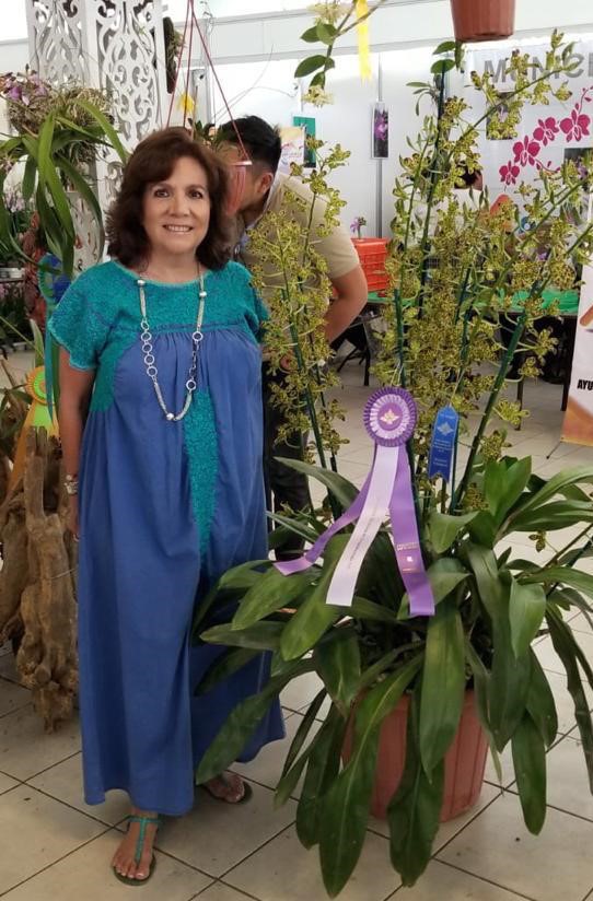 Gana Orquídea Liopardianum primer lugar en el Festival Internacional de la  Orquídea Coatepec 2019 : Blog | Tahí